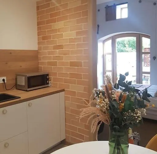 Domaine De La Gasse - Et D'hote Apartamento Sainte-Cécile