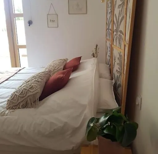 Domaine De La Gasse - Et D'hote Apartment